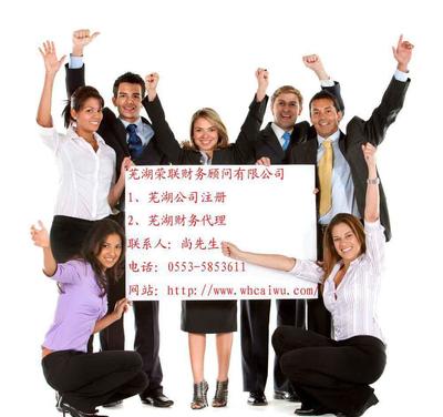 蕪湖企業(yè)財稅服務指南 代理記賬與財務代理詳解